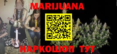 крисы Кунгур
