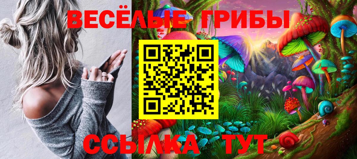 Канаш  Галлюциногенные грибы мухоморы  Псилоцибиновые грибы Magic Shrooms  Вход с VPN 